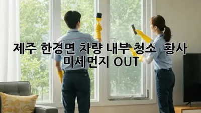 제주 한경면 차량 내부 청소 ✨ 황사, 미세먼지 OUT!